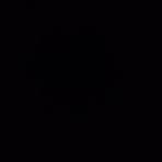 BLACK IC
