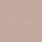 DESERT TAUPE